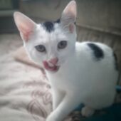 20240911_132130 20240911_132130