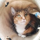 20220414_115040-01-scaled 20220414_115040-01-scaled