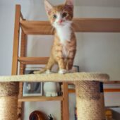 IMG-20220730-WA00031-1 IMG-20220730-WA00031-1