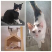 Kinderstube-scaled Kinderstube-scaled