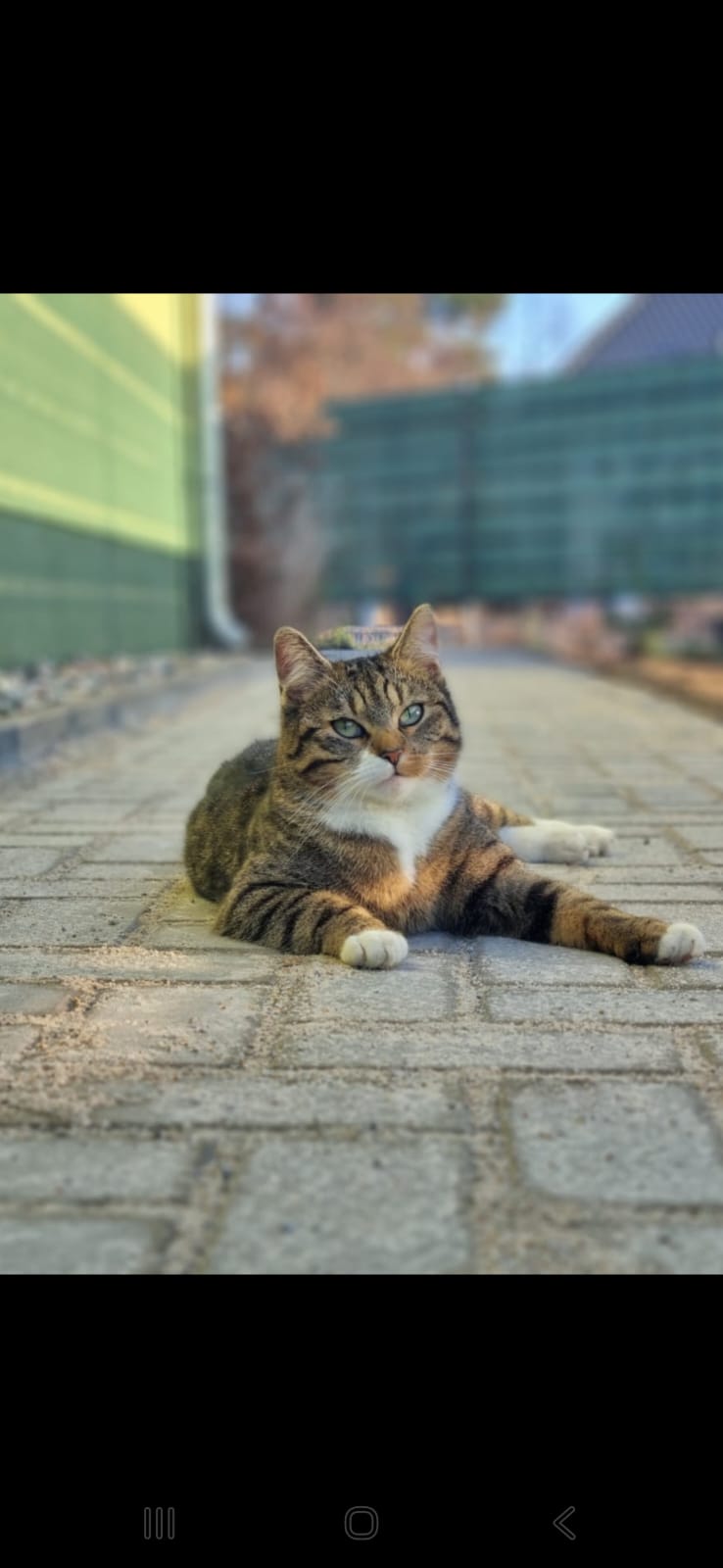 IMG-20260119-WA0005(1)