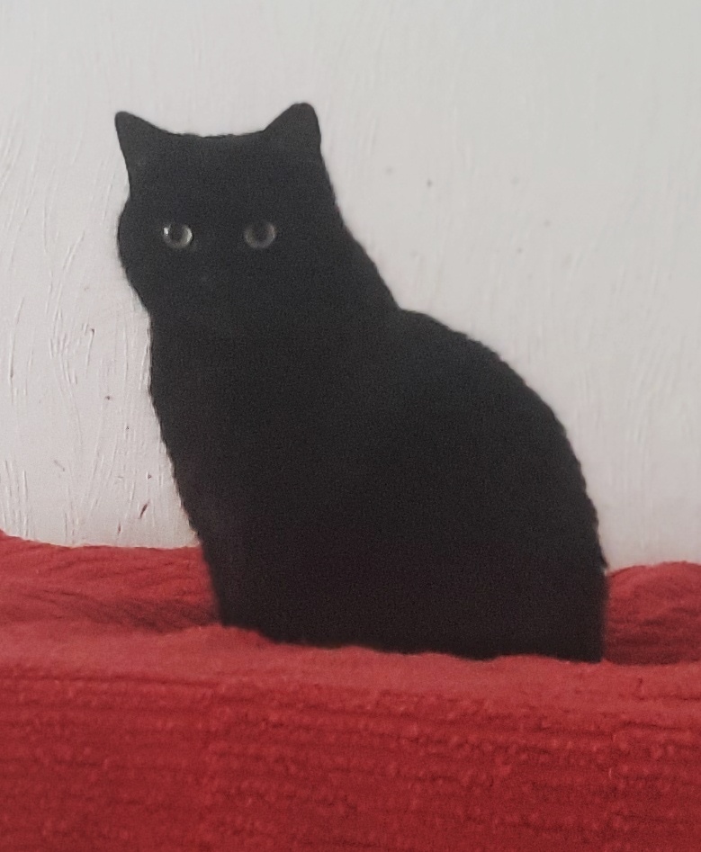 Samira