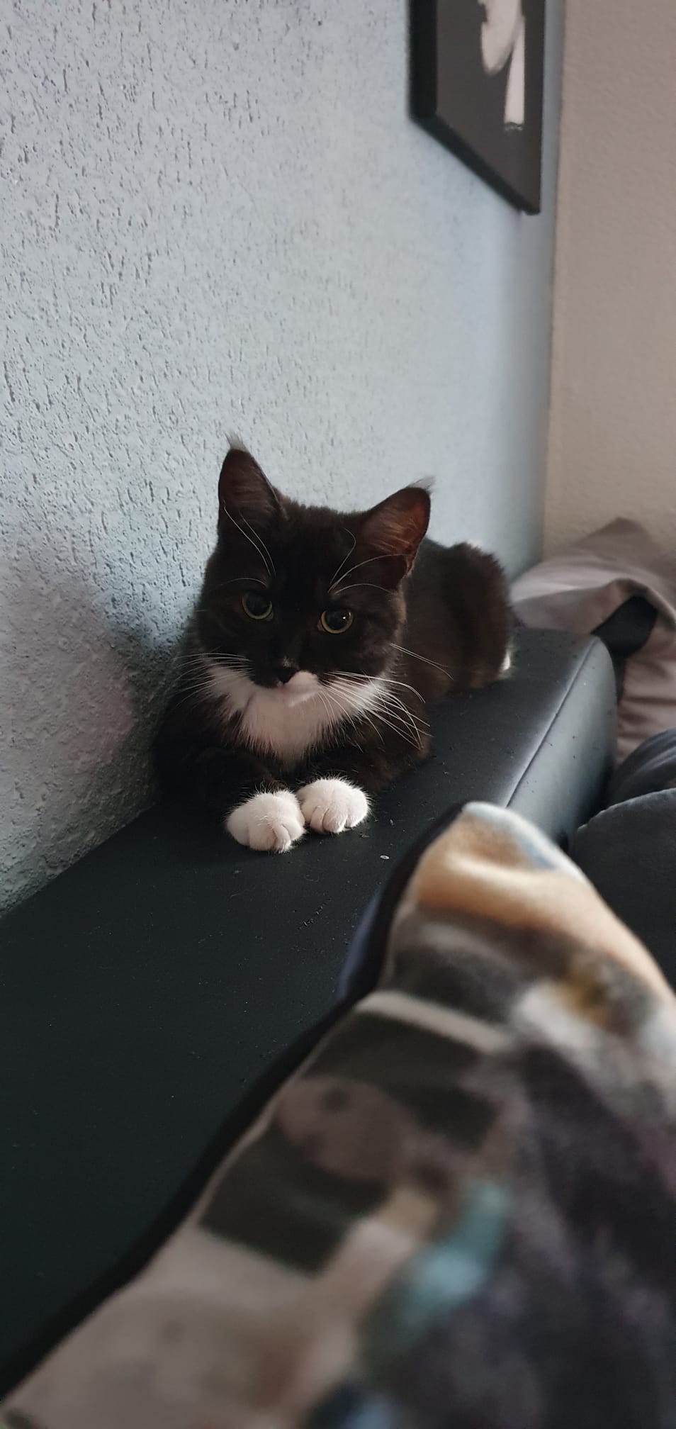 ViviundLola